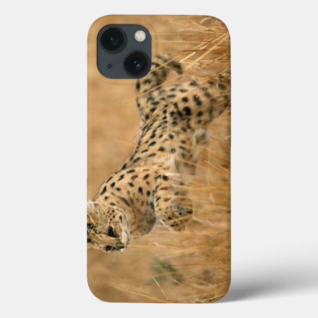 Serval (Leptailurus Serval) hoppar (Baksida)