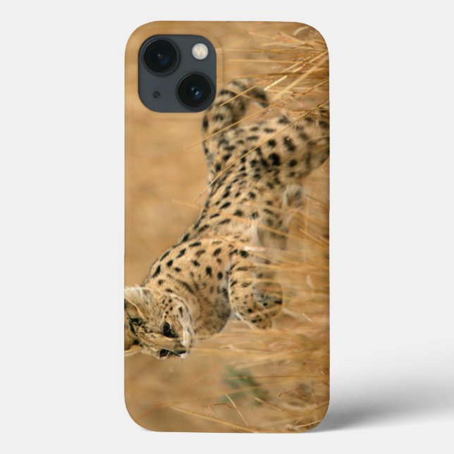 Serval (Leptailurus Serval) hoppar (Baksida)