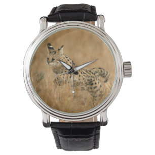 Serval (Leptailurus Serval) hoppar Armbandsur
