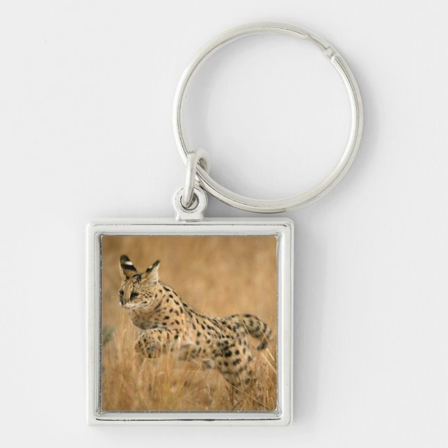 Serval (Leptailurus Serval) hoppar Fyrkantig Silverfärgad Nyckelring (Framsidan)
