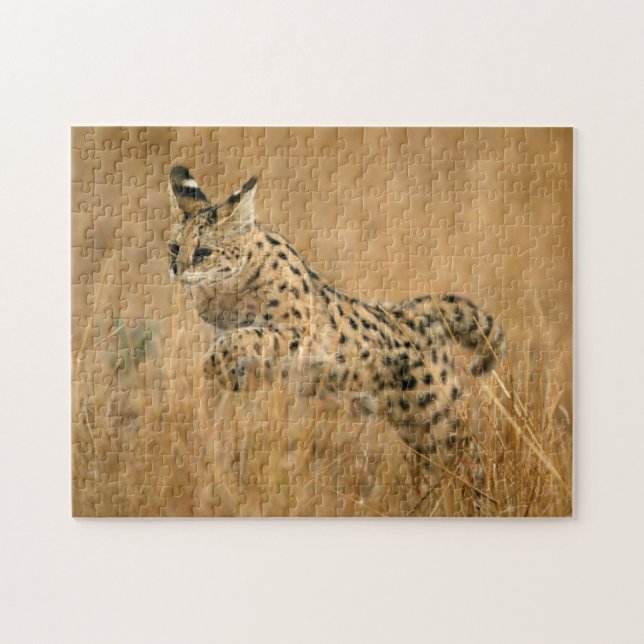 Serval (Leptailurus Serval) hoppar Pussel (Horisontell)