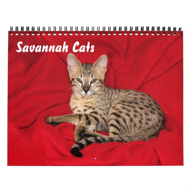 Serval Savannah Cat Calendar Kalender (Omslag)