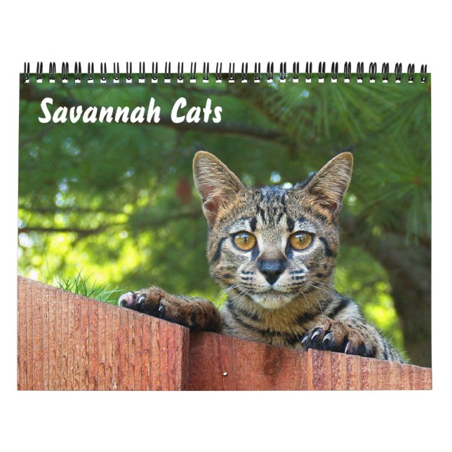 Serval Savannah Cat Calendar Kalender (Omslag)