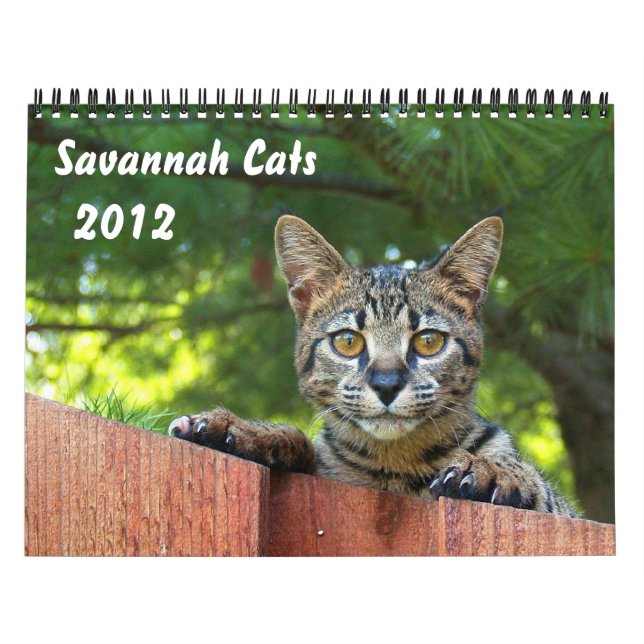 Serval Savannah Cat Calendar Kalender (Omslag)