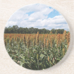 Servergruppsserie - Sorghum Fält - Underlägg Sandsten