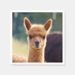 Servett för coctail för babyAlpaca standard