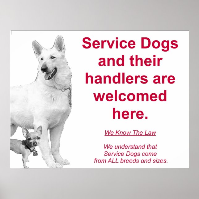 Service Dogs are welcome Poster (Framsidan)