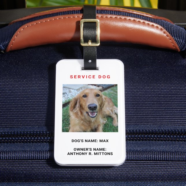 Service Hund Bagagebricka (Framsida Insitu 2)