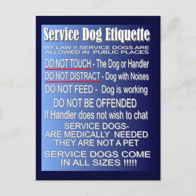 Service Hund Etiquette Vykort (Framsida)
