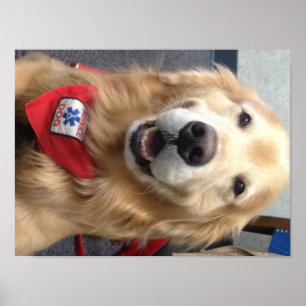 Service Hund Jonah Smiles på Dentist Poster