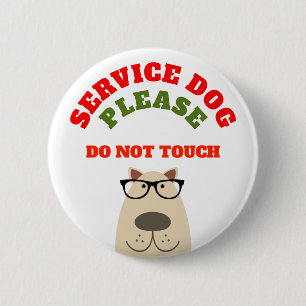 Service hund knapp