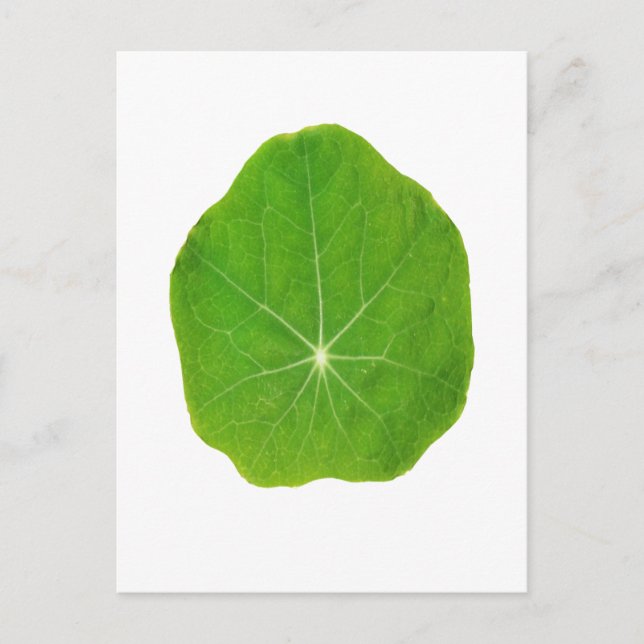 Servicegrönt, räddade planeten vykort (Framsida)