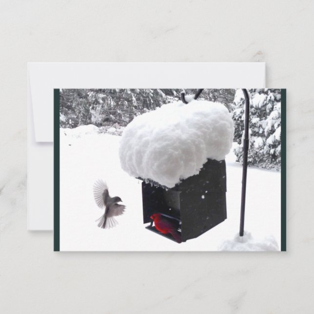 Serviceman, brevbärare, UPS, FedEx, dricks-kort Inbjudningar (Framsida)