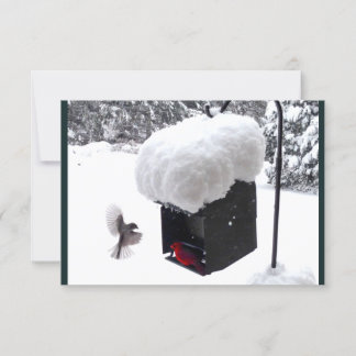 Serviceman, brevbärare, UPS, FedEx, dricks-kort Inbjudningar