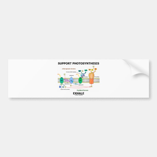 ServicePhotosynthesis utandas (Biochemistryhumorn) Bildekal (Framsidan)