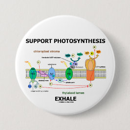 ServicePhotosynthesis utandas (miljö-) Knapp