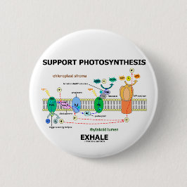 ServicePhotosynthesis utandas (miljö-) Knapp