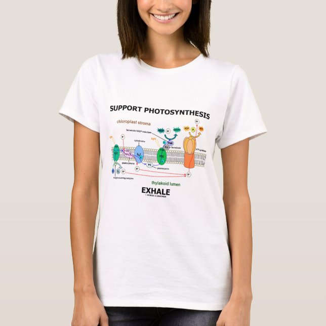 ServicePhotosynthesis utandas (miljö-) T Shirt (Framsida)