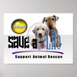 SERVICERÄDDA DJUREN - ADOPTERA! POSTER