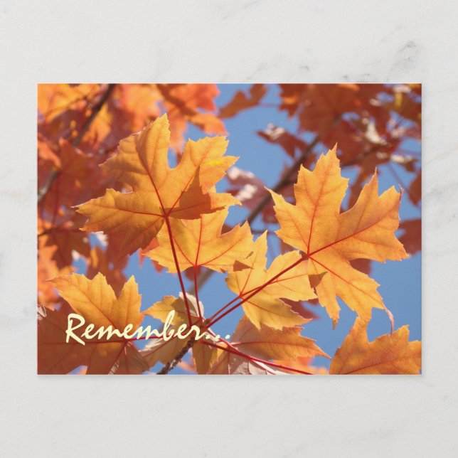 Servicevykort påminnelser om årlig servicetid vykort (Framsida)