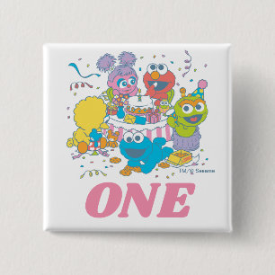 Sesame Street Baby 1st Birthday Knapp