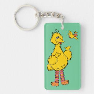 Sesame Street Big Bird & Little Bird