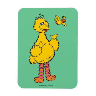 Sesame Street   Big Bird & Little Bird Magnet