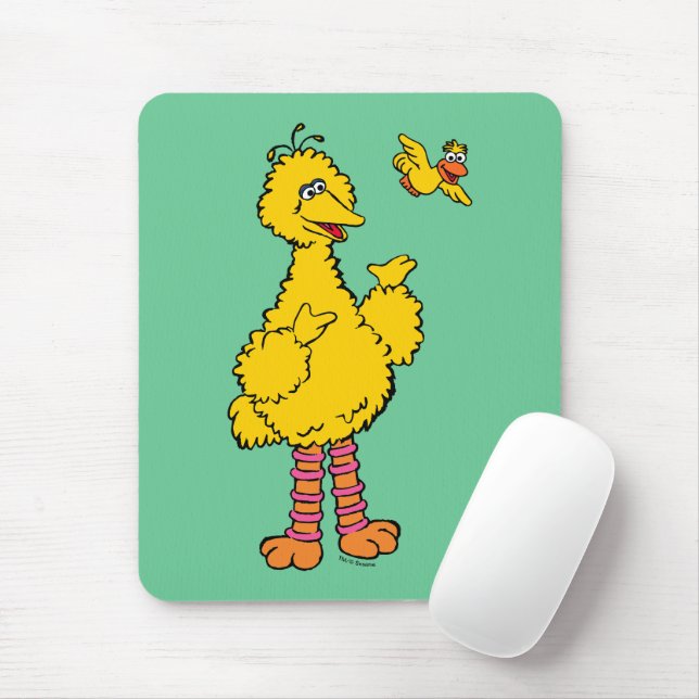 Sesame Street | Big Bird & Little Bird Musmatta (Med mus)