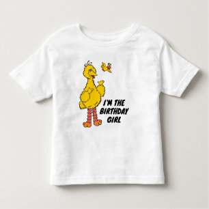 Sesame Street   Big Bird & Little Bird T Shirt