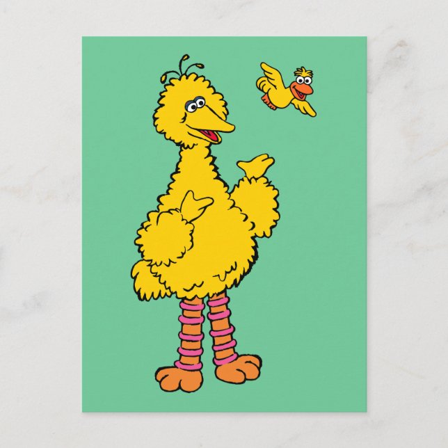 Sesame Street | Big Bird & Little Bird Vykort (Framsida)
