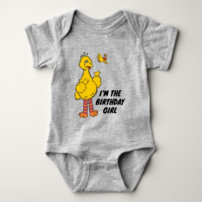Sesame Street | Big Bird & Little Birthday T Shirt (Framsida)