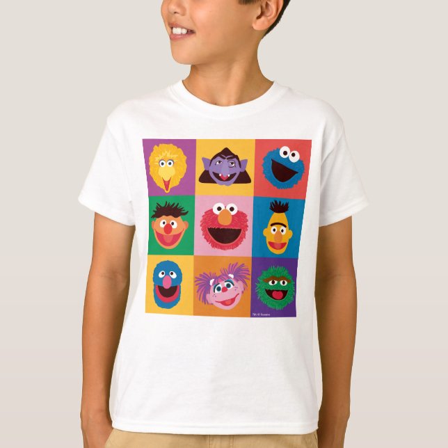 Sesame Street Characters | Färgblocksrutnät T Shirt (Framsida)
