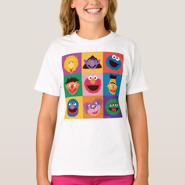 Sesame Street Characters | Färgblocksrutnät T Shirt (Framsida)