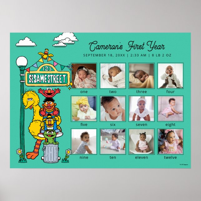 Sesame Street Characters & Street Sign Poster (Framsidan)