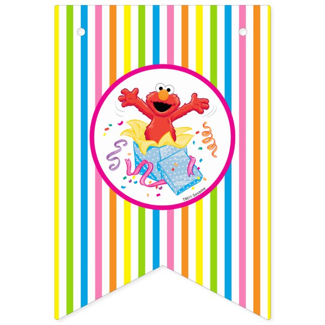 Sesame Street | Elmo Girl's Birthday Vimplar (Första flaggan)
