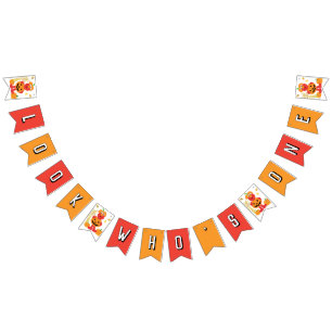 Sesame Street - Elmo Pumpkin First Birthday Vimplar