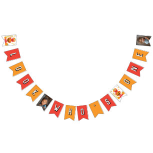 Sesame Street - Elmo Pumpkin First Birthday Vimplar