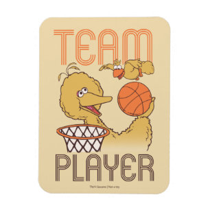 Sesame Street Fågelteamspelare Magnet
