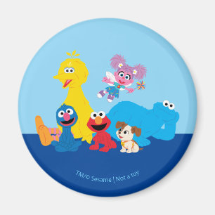 Sesame Street   Färgfyllda Sesame Street Pals Magnet