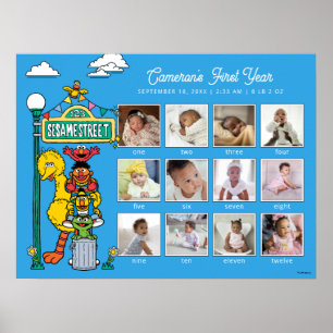 Sesame Street-figurer & gatuskylt Poster