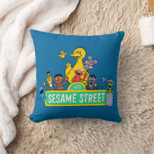 Sesame Street   Fullt Färg med pärlor Kudde
