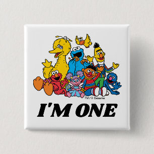 Sesame Street Pals 1st Birthday Knapp