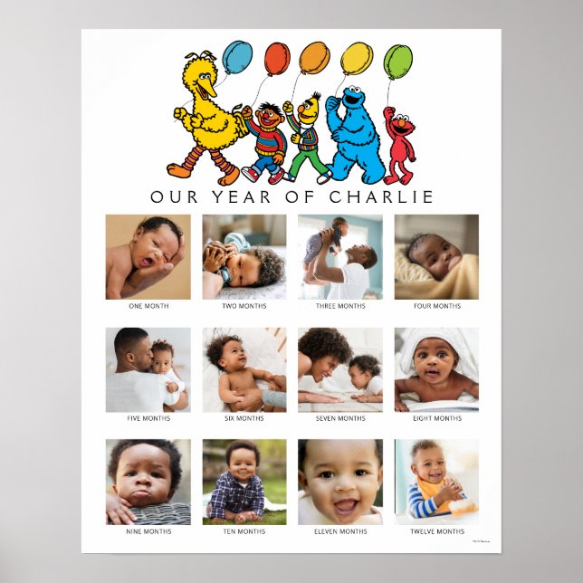 Sesame Street Pals | Baby Första året Poster (Framsidan)