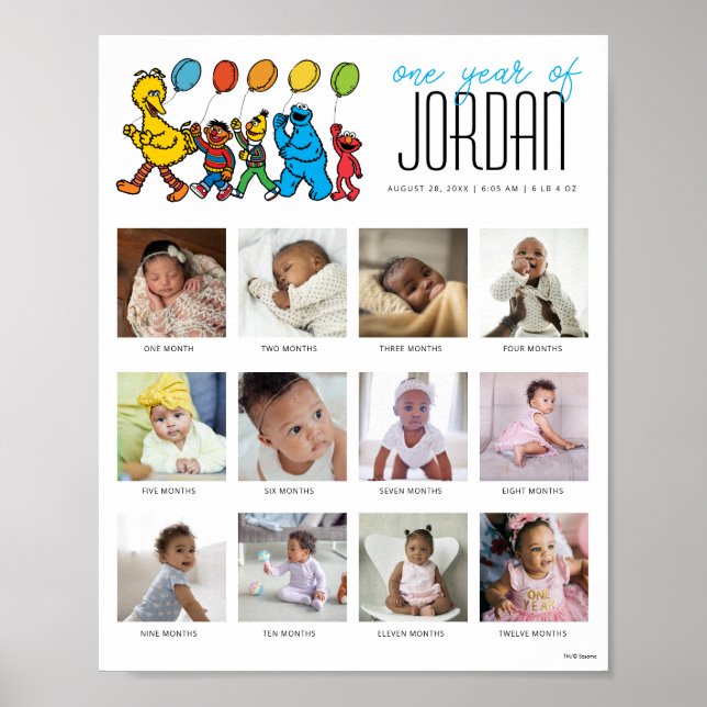 Sesame Street Pals Balloons Ett år på 12 månader Poster (Framsidan)