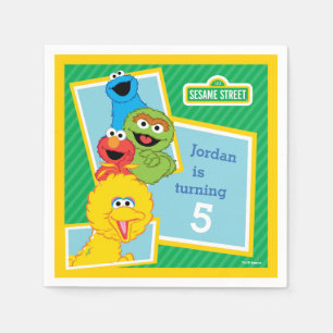Sesame Street Pals Birthday Pappersservett