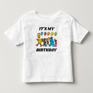 Sesame Street Pals   Min födelsedag T Shirt