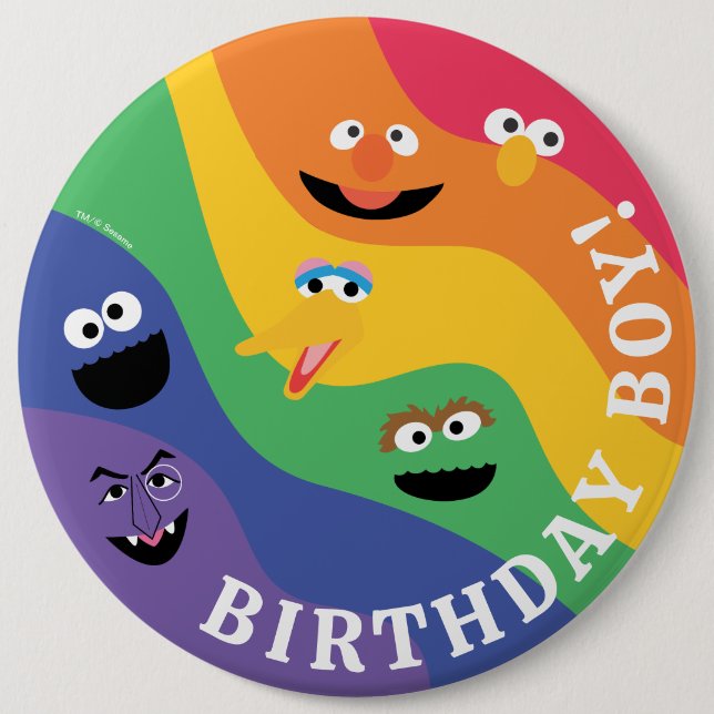 Sesame Street Pals Rainbow Birthday Boy Knapp (Framsida)