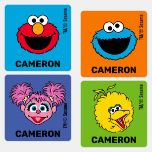 Sesame Street Personlig Kids Klistermärke