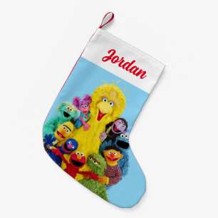 Sesame Street Roligt Färgstift Pals Porträtt Liten Julstrumpa