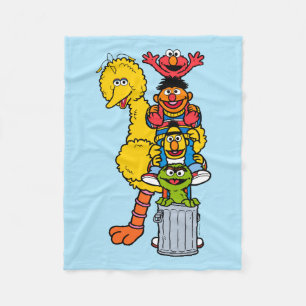 Sesame Street Sesame Street Pals Pose Fleecefilt
